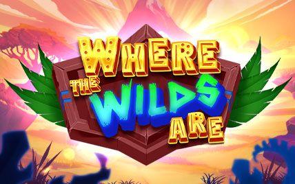 Where the Wilds Are 92.00