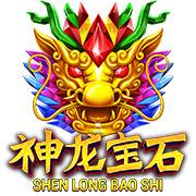 Shen Long Bao Shi