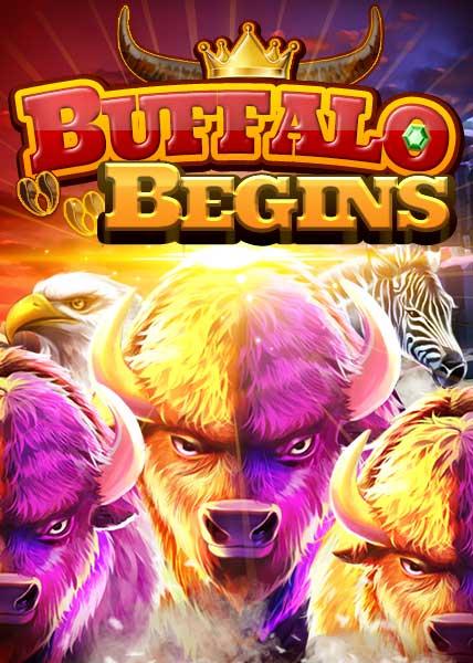 Buffalo Begins